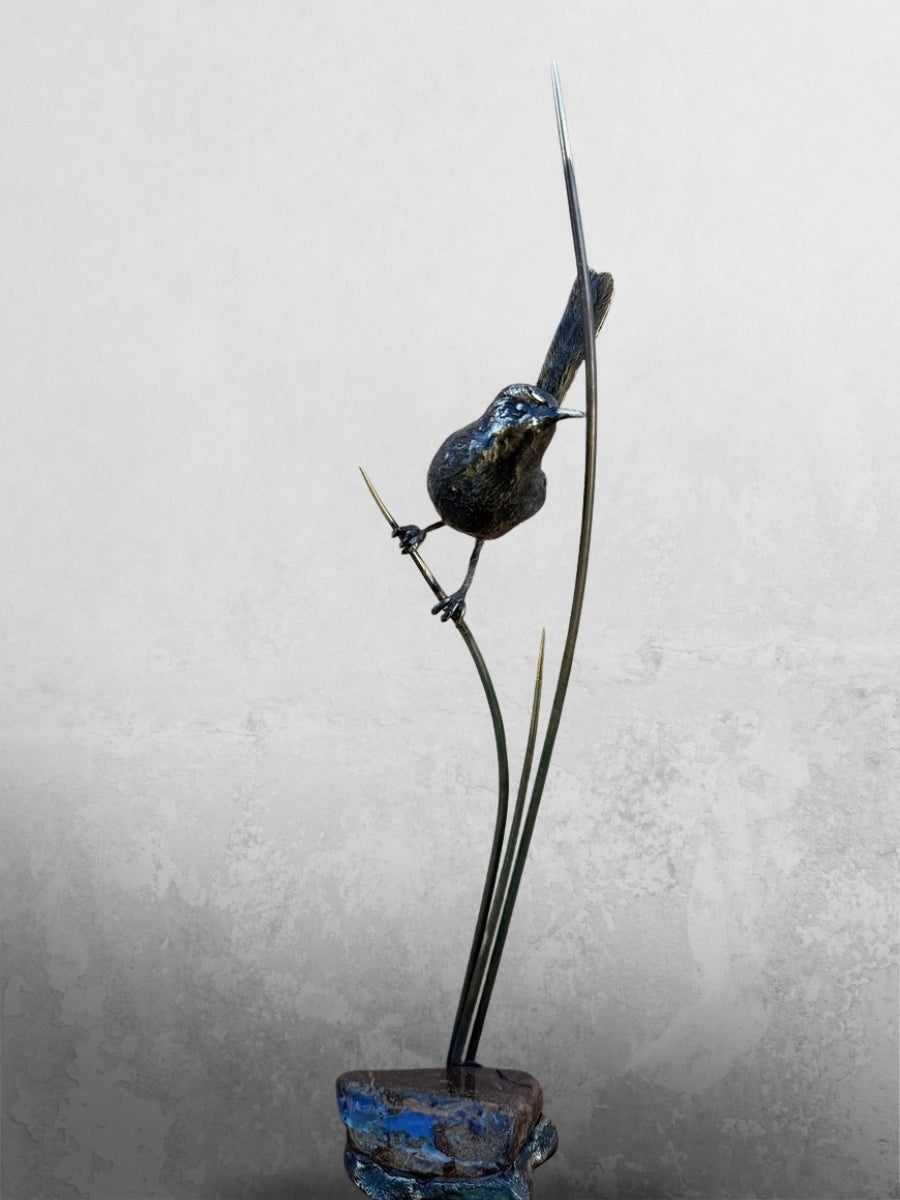 Red Back Fairy Wren on Three Reeds