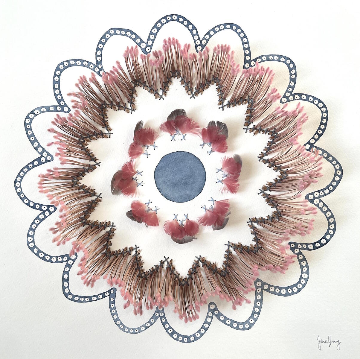Playful Banksia