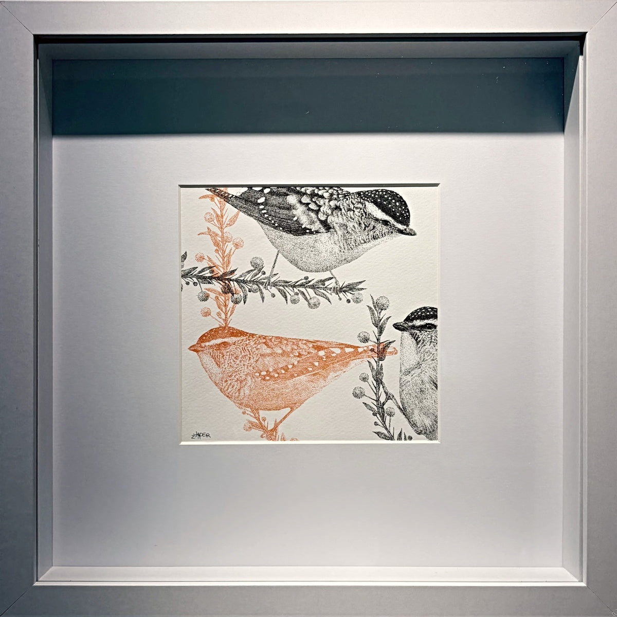 The Pardalote Paradox II
