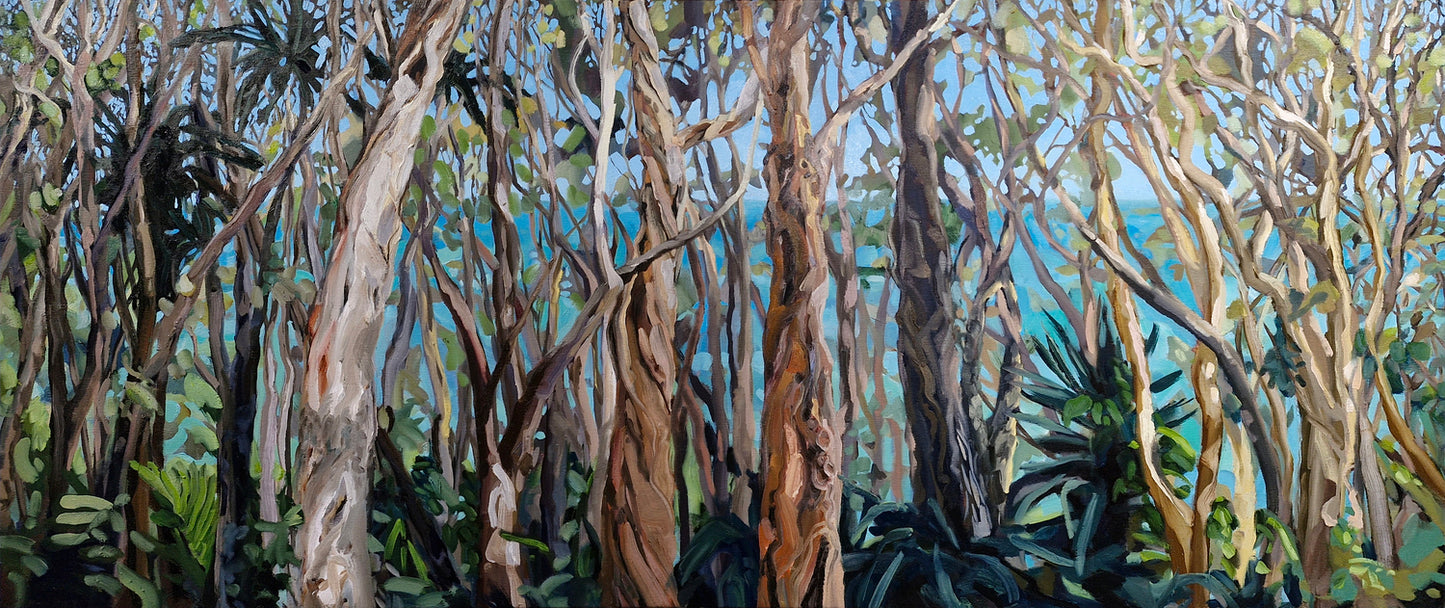 Tea Tree Bay Noosa Natioal Park