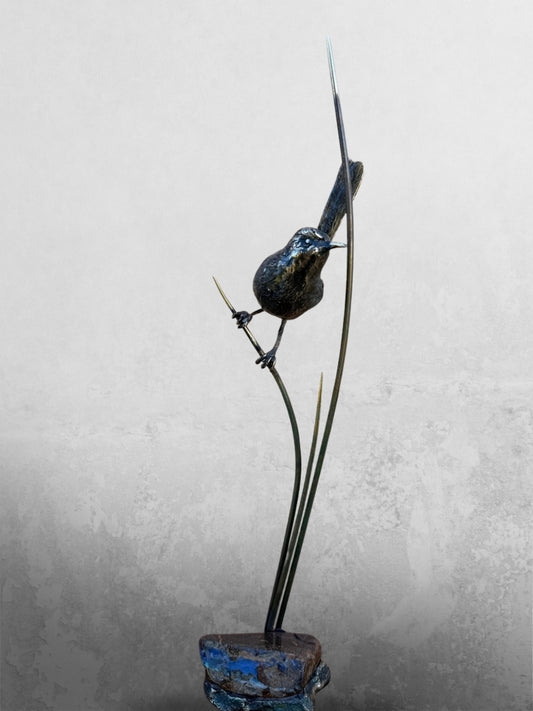 Red Back Fairy Wren on Three Reeds