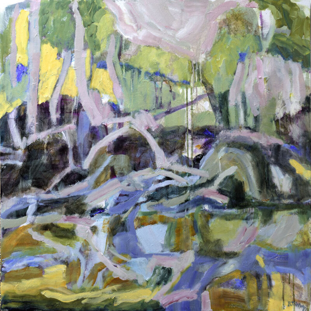 September Wattle