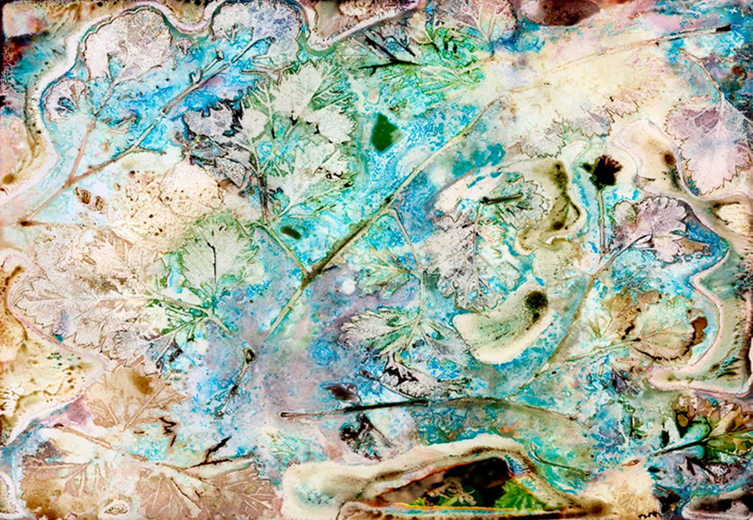 Echoes of Raspberry Leaves