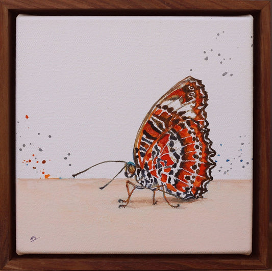 Orange Lacewing