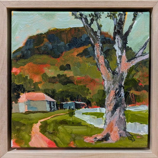 Under the Mountain Study I