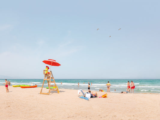 The Lifeguard