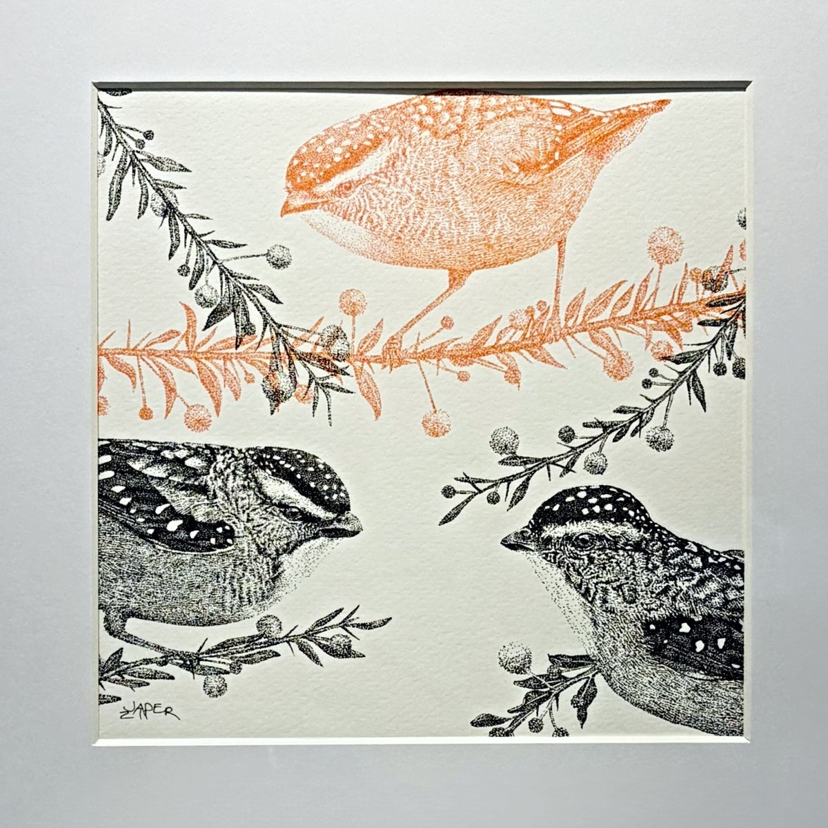 Pardalote Paradox I