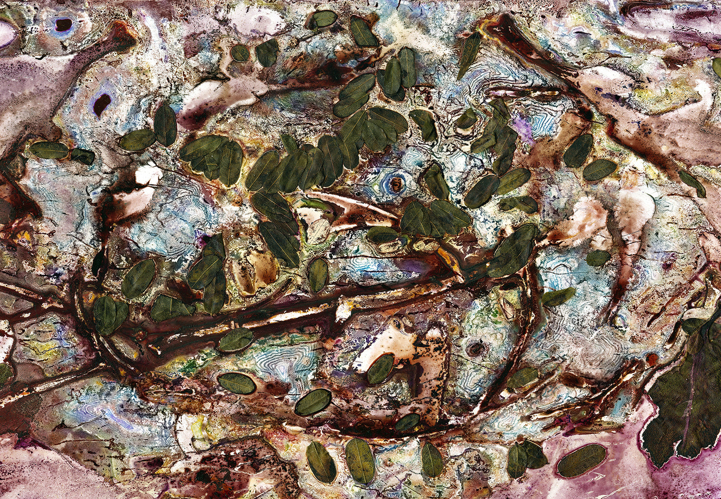 Rock Pool