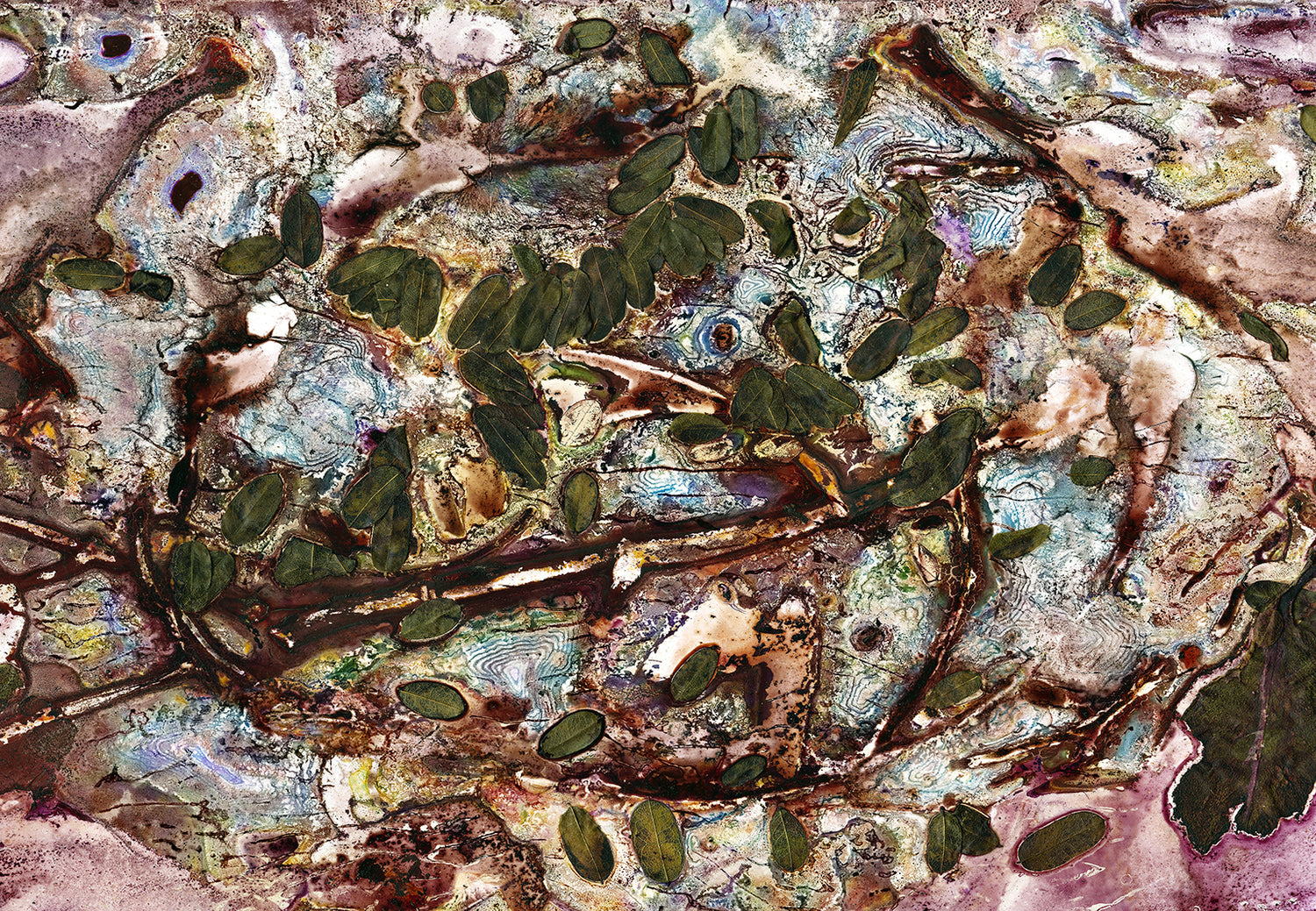 Rock Pool