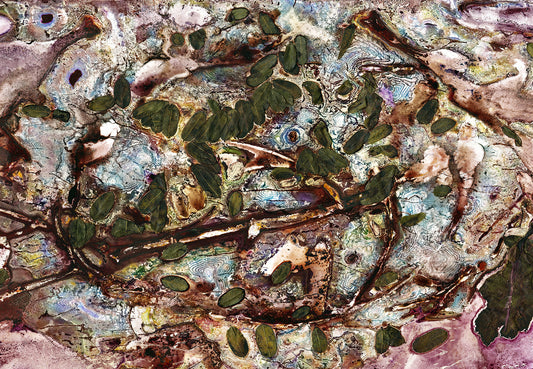 Rock Pool