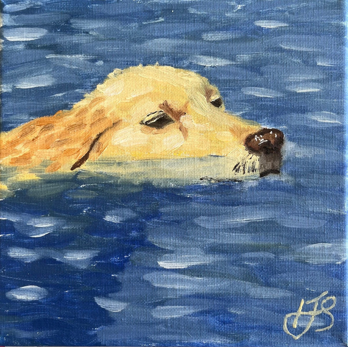 Doggy Paddle