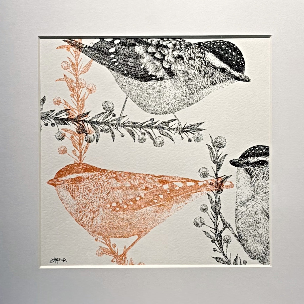 The Pardalote Paradox II