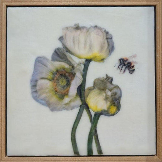 Poppies