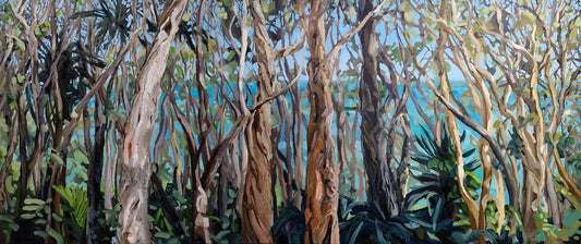 Tea Tree Bay Noosa Natioal Park