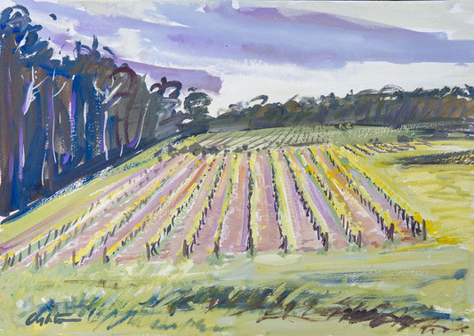Vineyards in Spring, Margaret River, WA