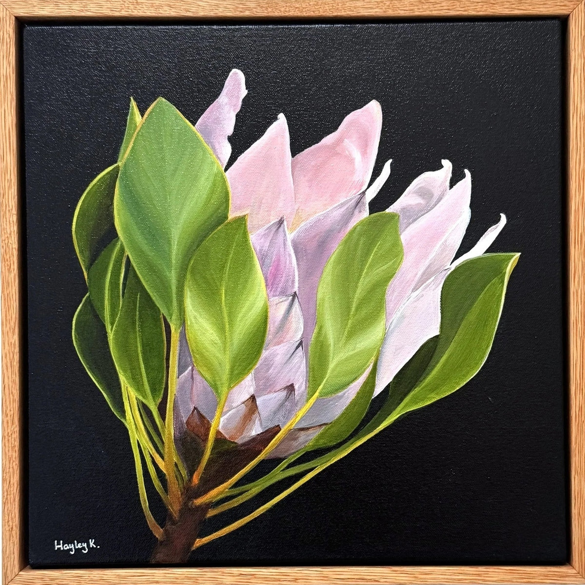 Noble Blush