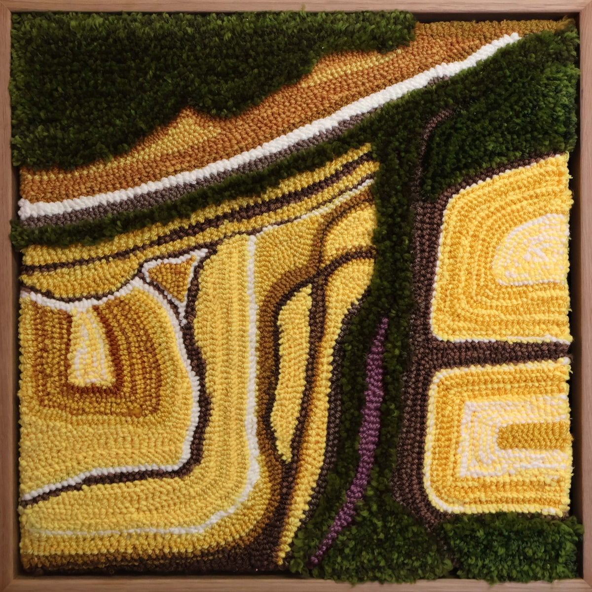 Canola Fields