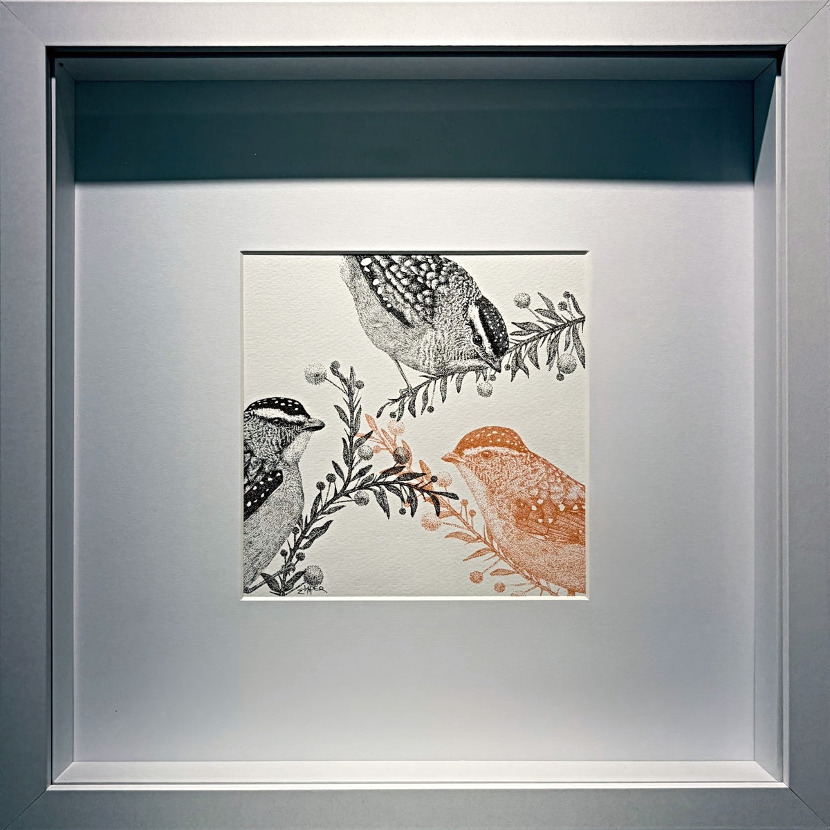 The Pardalote Paradox III