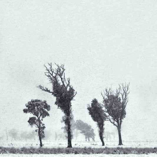 Veiled Sentinels